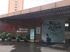 -陈家山荷花公园