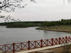 -丁香湖公园