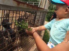 -临沂动植物园