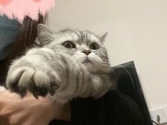 -不正咖啡(万达尊店)