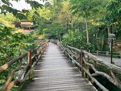 -海南槟榔谷黎苗文化旅游区