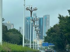 -凤凰楼酒家·粤宴点心(华强北店)