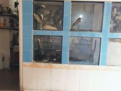 -红星光发煲仔饭(大石街店)