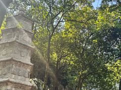 -灵隐飞来峰景区