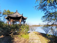 -上海海湾国家森林公园