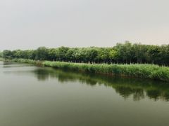 -西青郊野公园