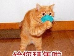 -上海南东电玩(上海置地广场周大福店)