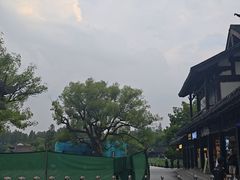 -印象西湖·最忆是杭州实景演出