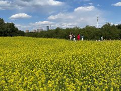 -长白岛森林公园