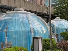 -海底捞大排档火锅(打浦路店)