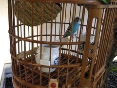 -小厨娘淮扬菜(六合欢乐港店)