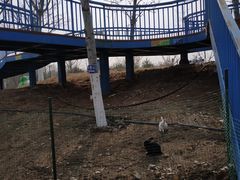 -永定河休闲森林公园