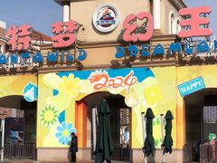 -青岛方特梦幻王国