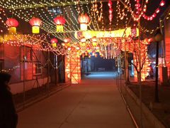 -北戴河集发农业梦想王国