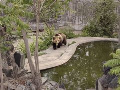 -天津市动物园