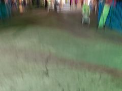 -南湖梦幻岛