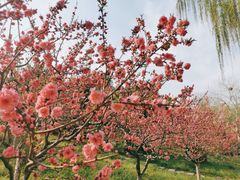 -丰台花园