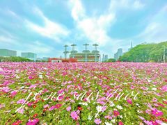 -海心沙亚运公园