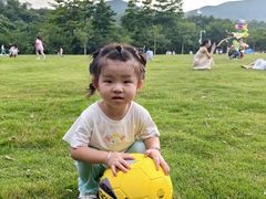 -大屏嶂森林公园