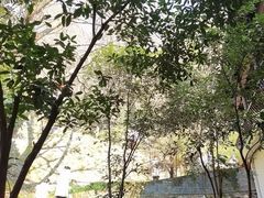 -敬亭山风景名胜区