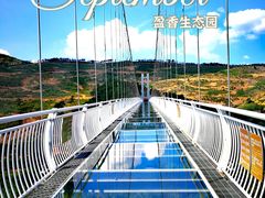 -盈香心动乐园