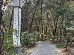 -云龙山