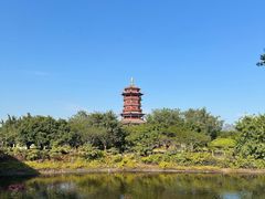 -厦门园林博览苑