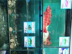 -南海渔家•海鲜•正宗海南菜(海棠湾店)
