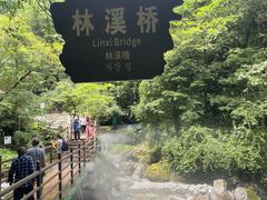 -西岭雪山大飞水景区