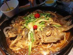 -老板恋上鱼(恒隆广场店)