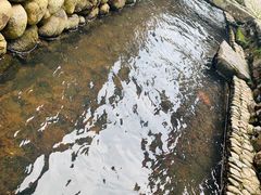 -前童古镇