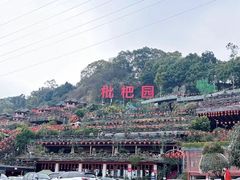 -枇杷园食为鲜火锅(南山店)