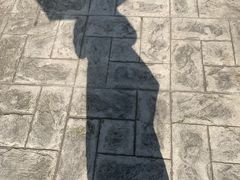 -海合安武汉极地海洋公园
