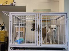 -宠物梦想家(日月豪庭店)