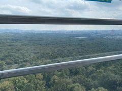 -紫金山山顶公园