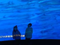 -同济大学四平路校区深海探索馆