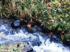 -秦岭终南山世界地质公园翠华山景区