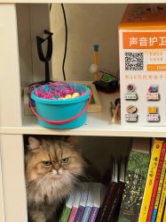 -奈尔宝·儿童乐园·亲子餐厅(前滩店)