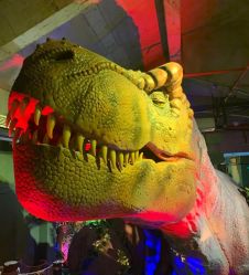 -恐龙探索乐园(磁器口店)