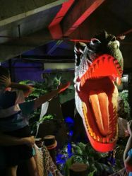 -恐龙探索乐园(磁器口店)