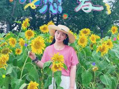 -苏州湾体育公园
