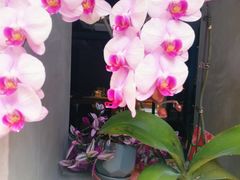 -十一咖啡(青年大街工厂店)