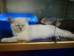 -乐宠宠物店(世纪金源店)