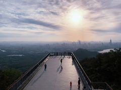 -紫金山山顶公园