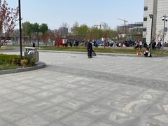 -首都医科大学附属北京天坛医院
