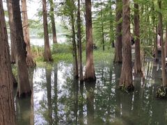 -东湖落雁景区