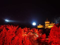 -禅宗少林·音乐大典