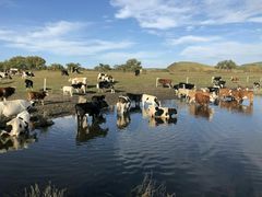 -塞罕坝国家级自然保护区