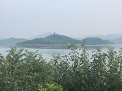 -望湖烤鱼