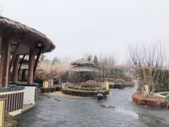 -大连金石滩绿发温泉假日酒店